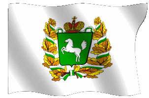 tomskflag